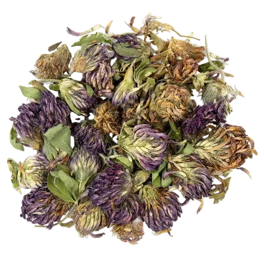 Bulk: Red Clover Blossom - 0.5 oz