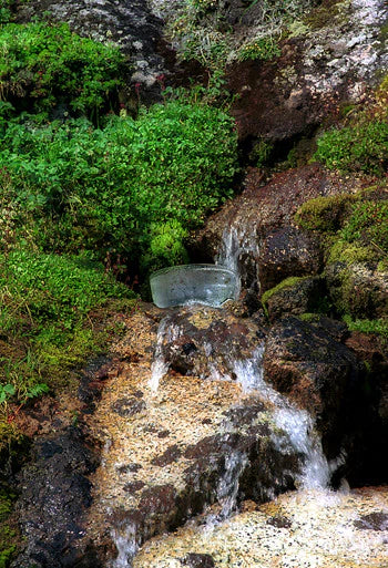 Alaskan Essences: Rock Spring