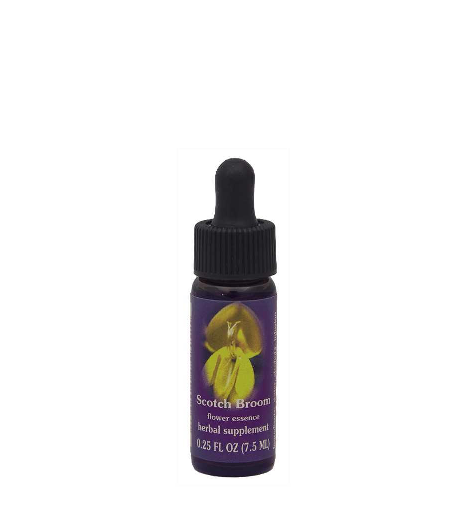 FES Flower Essences: Scotch Broom