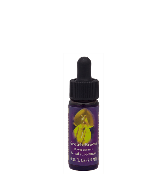 FES Flower Essences: Scotch Broom