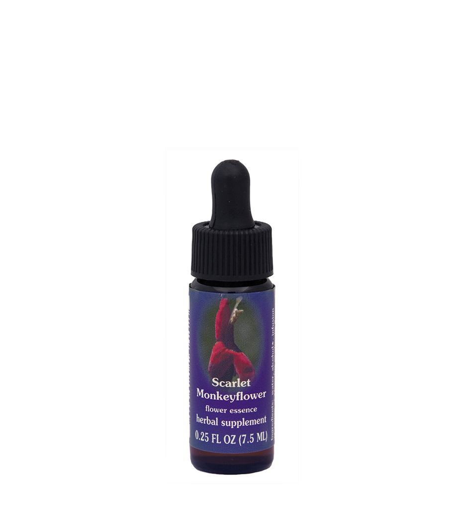 FES Flower Essences: Scarlet Monkeyflower