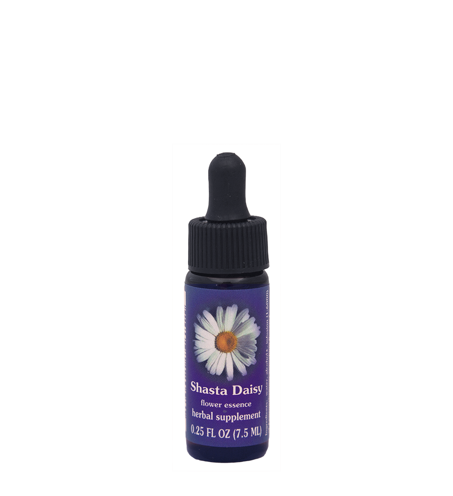 FES Flower Essences: Shasta Daisy