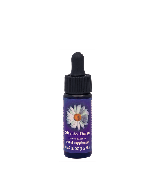 FES Flower Essences: Shasta Daisy