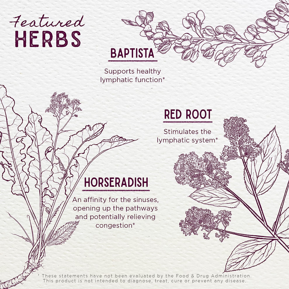 Wishgarden Herbs: Kick-Ass Sinus (2 oz)