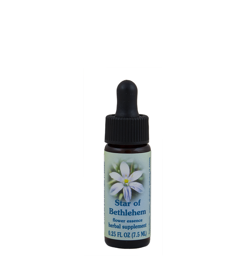 FES Flower Essences: Star of Bethlehem