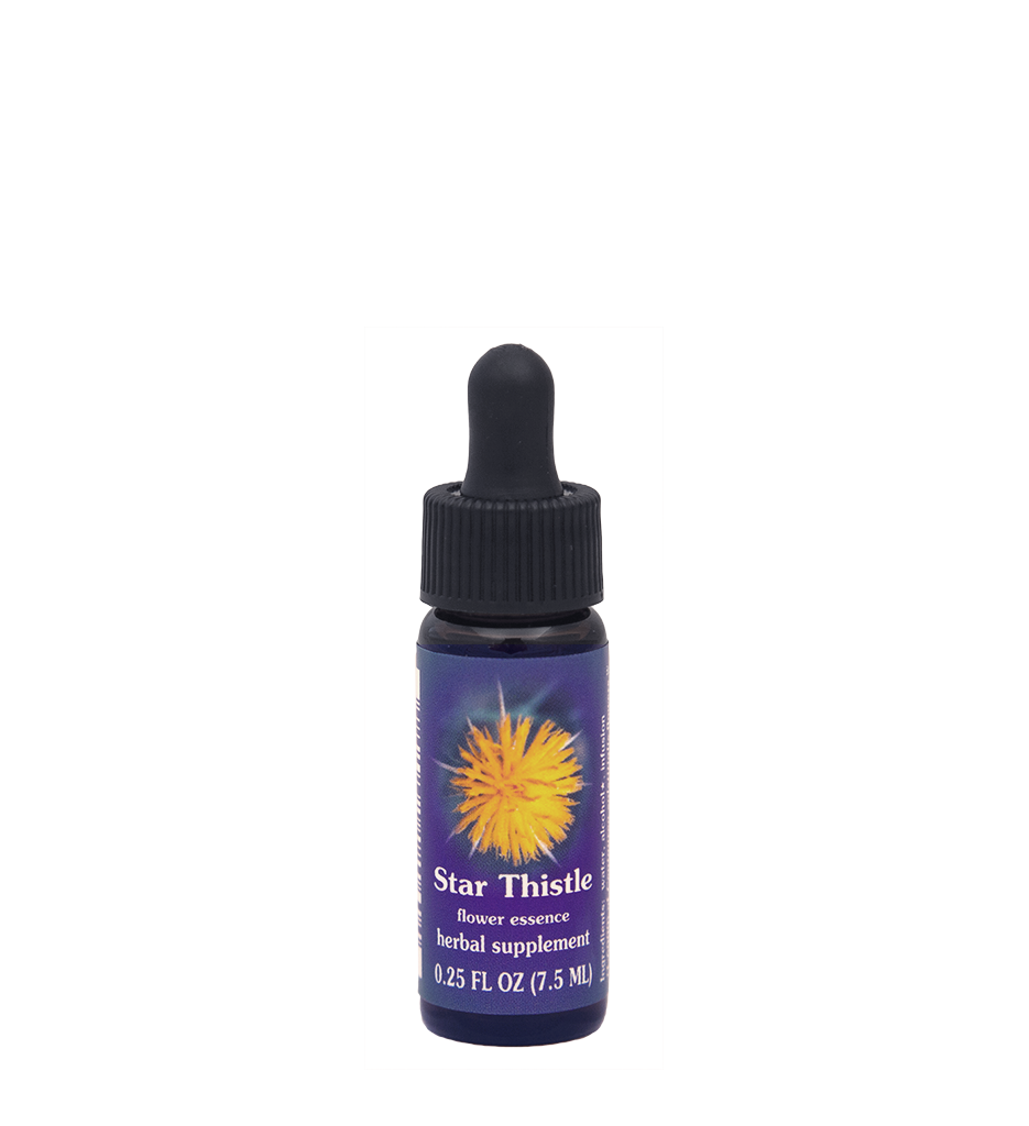 FES Flower Essences: Star Thistle