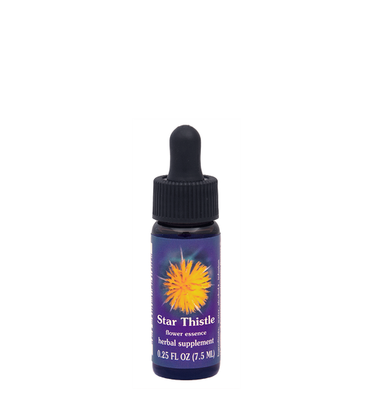 FES Flower Essences: Star Thistle