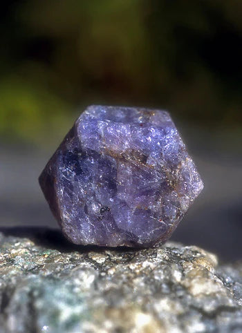 Alaskan Essences: Sapphire