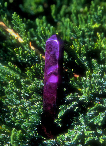Alaskan Essences: Sugalite