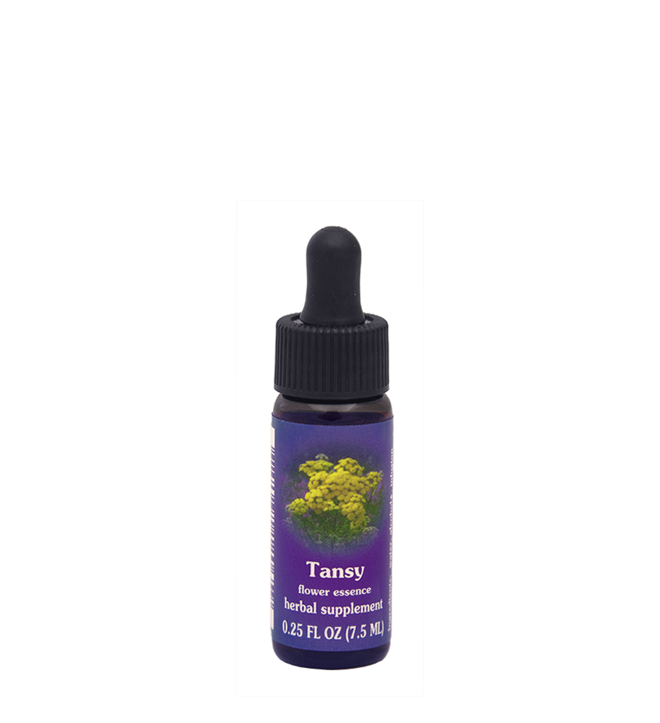 FES Flower Essences: Tansy