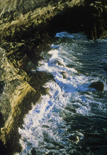 Alaskan Essences: Tidal Forces