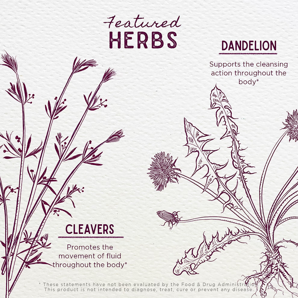 WishGarden Herbs: Urinary Strength (2 oz)