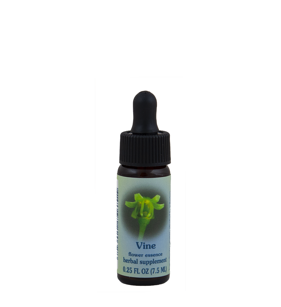 FES Flower Essences: Vine