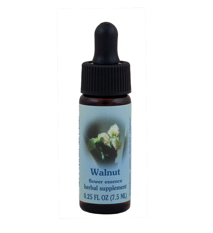 FES Flower Essences: Walnut