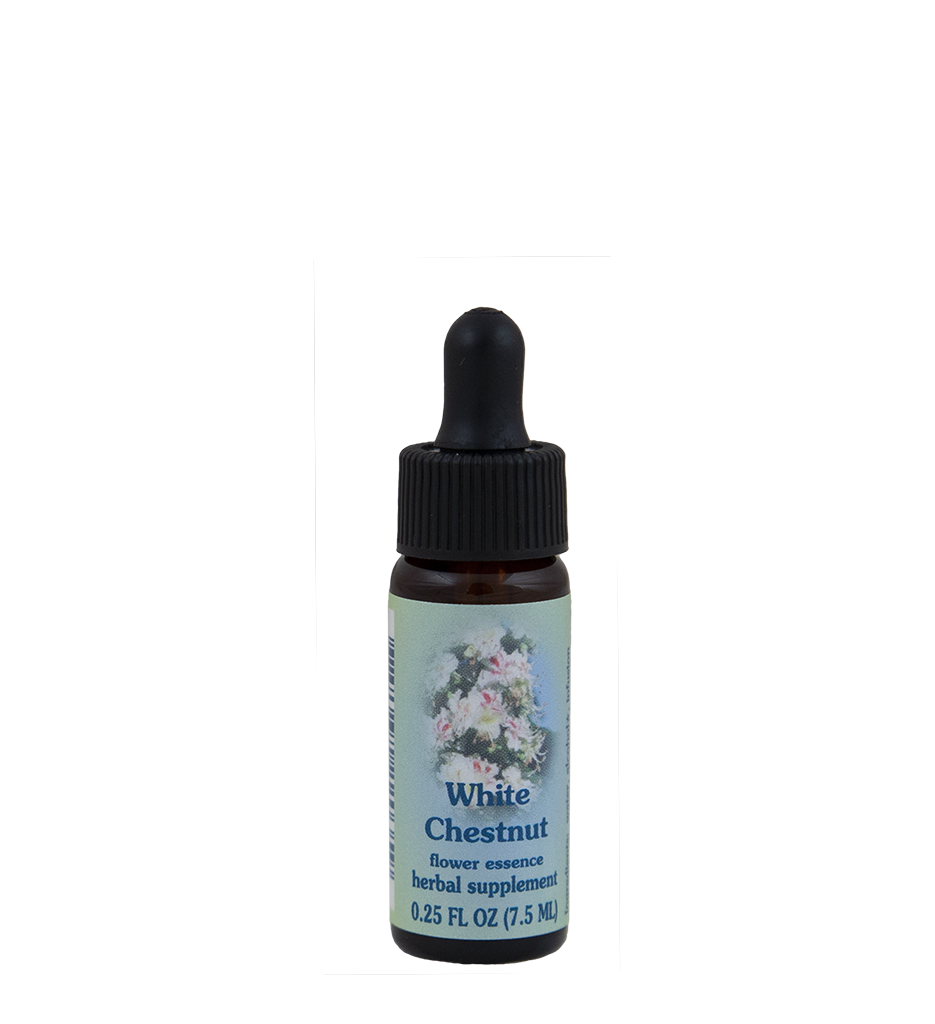 FES Flower Essences: White Chestnut