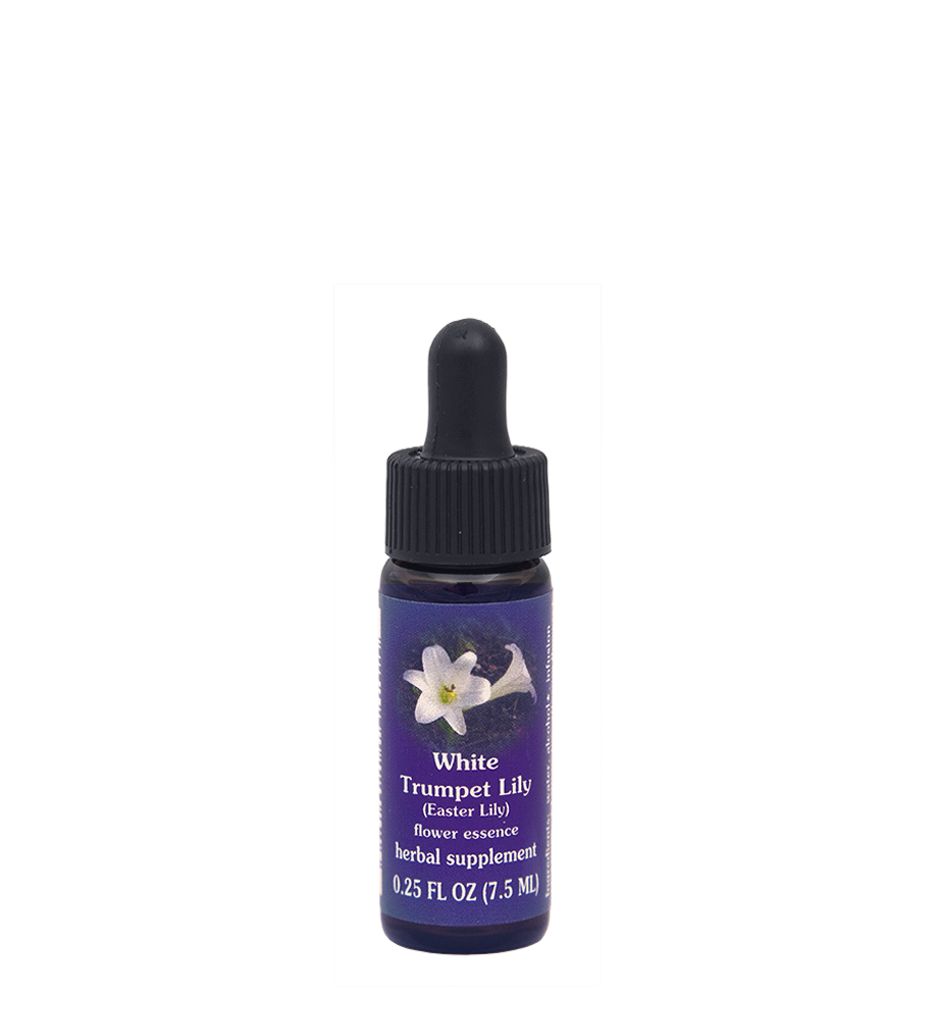 FES Flower Essences: White Trumpet Lily