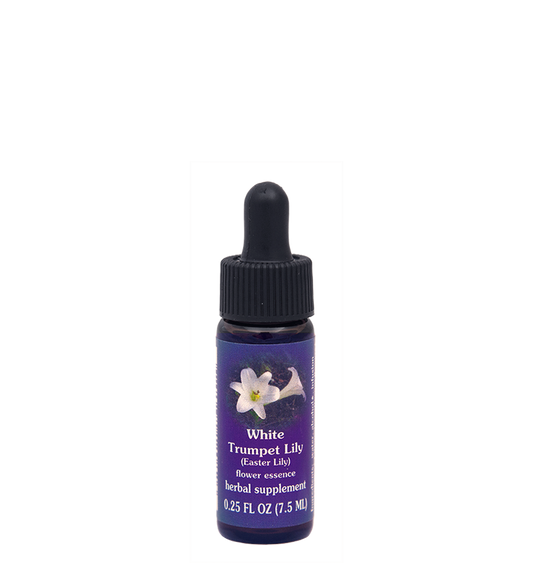 FES Flower Essences: White Trumpet Lily
