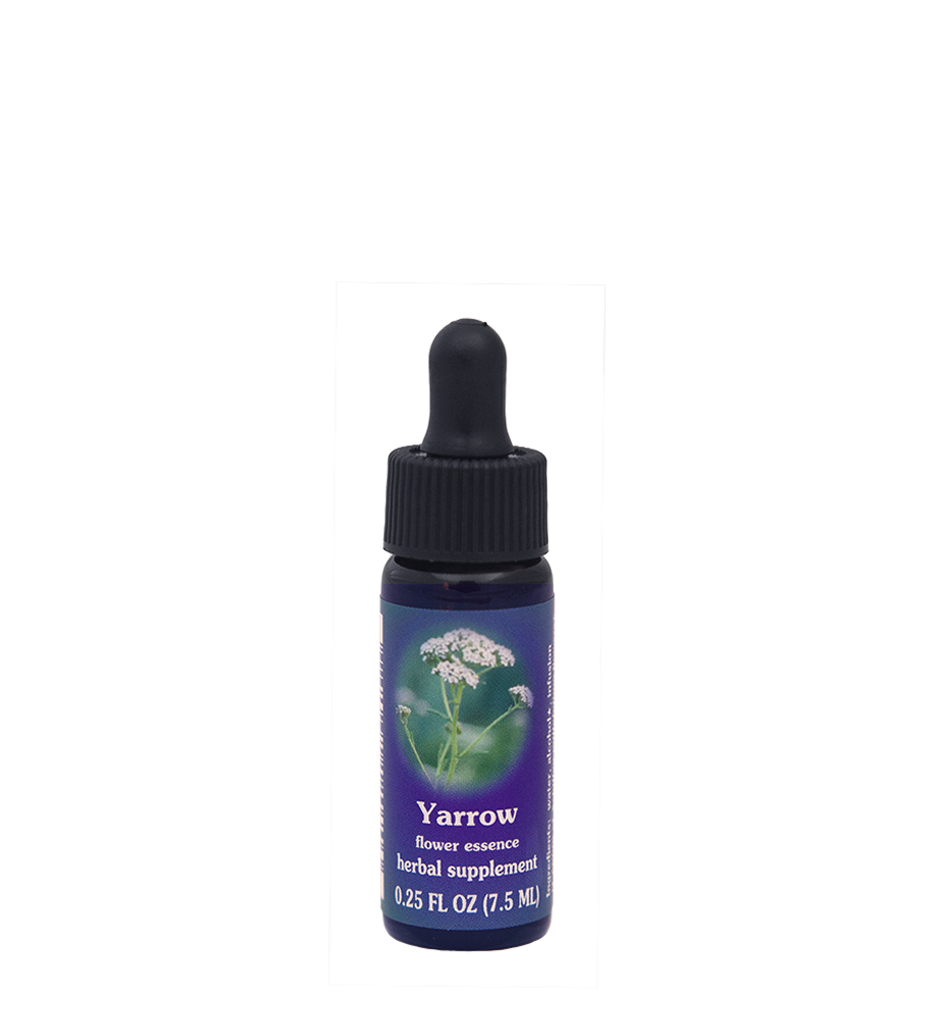 FES Flower Essences: Yarrow