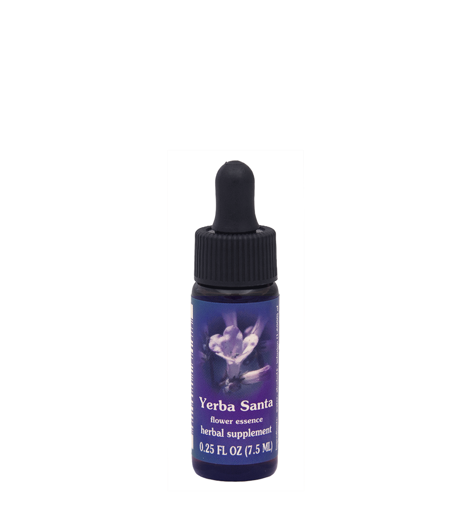 FES Flower Essences: Yerba Santa