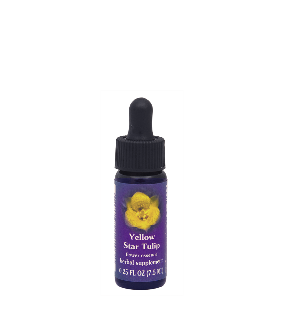 FES Flower Essences: Yellow Star Tulip