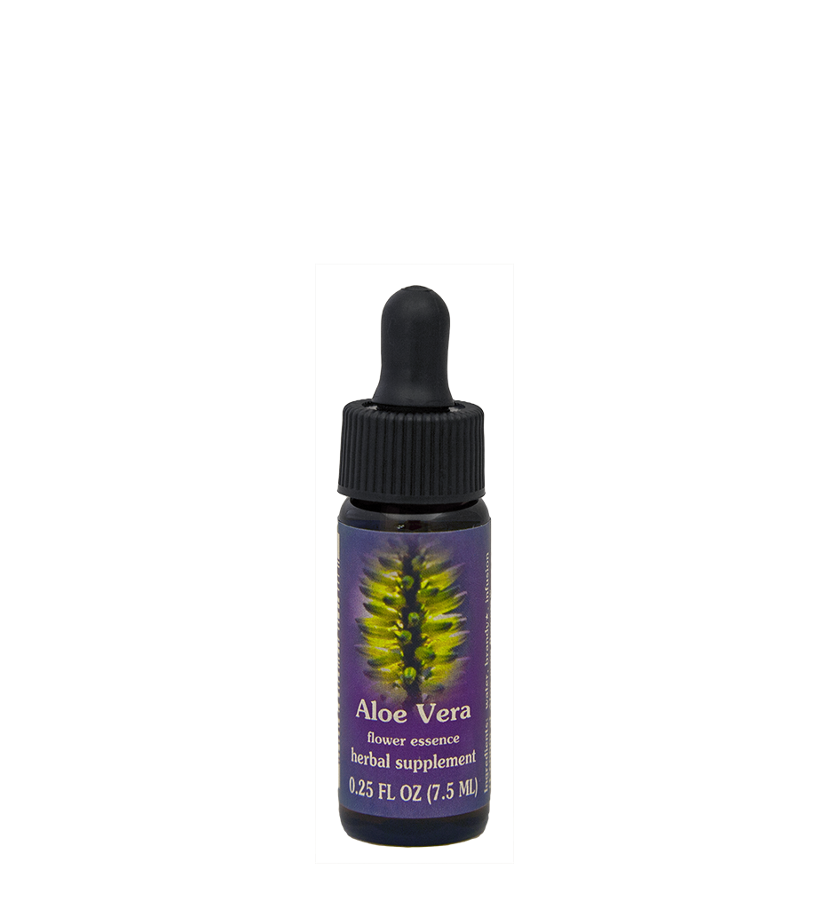 FES Flower Essences: Aloe Vera