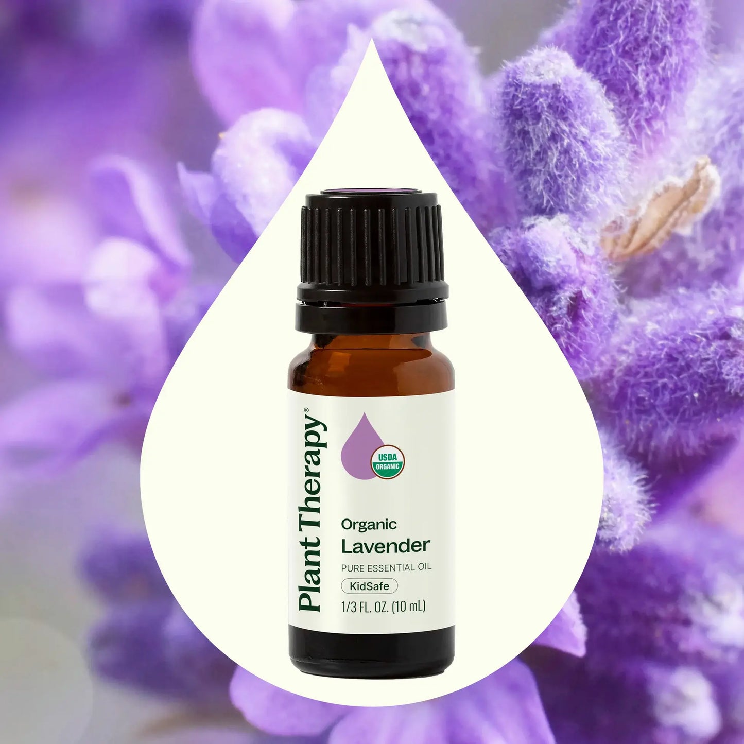Plant Therapy: Organic Lavender Essential Oil 10 mL
