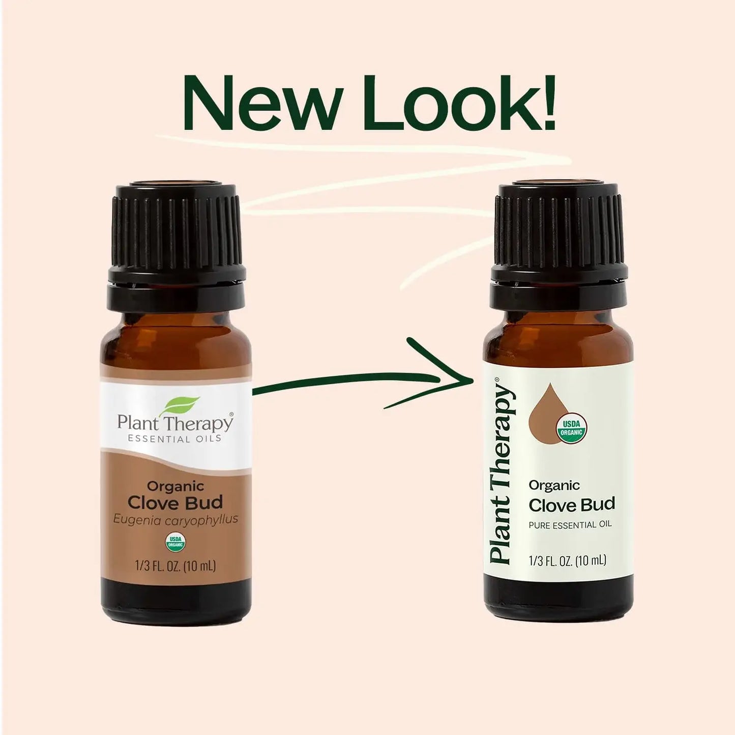 Plant Therapy: Organic Clove Bud Essential Oil 10 mL