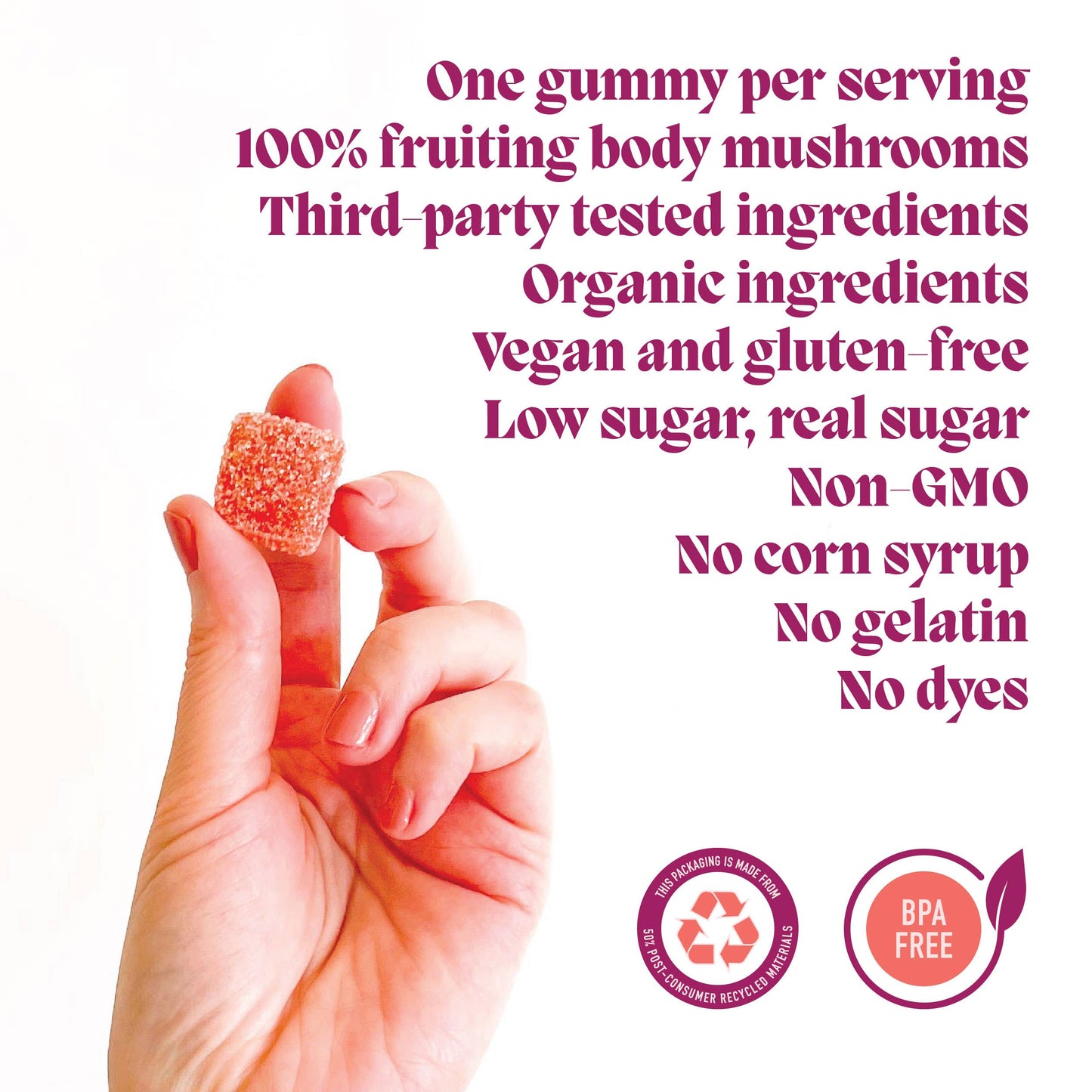Elevate Mushroom Gummies (5) / Vegan Supplement / Mood