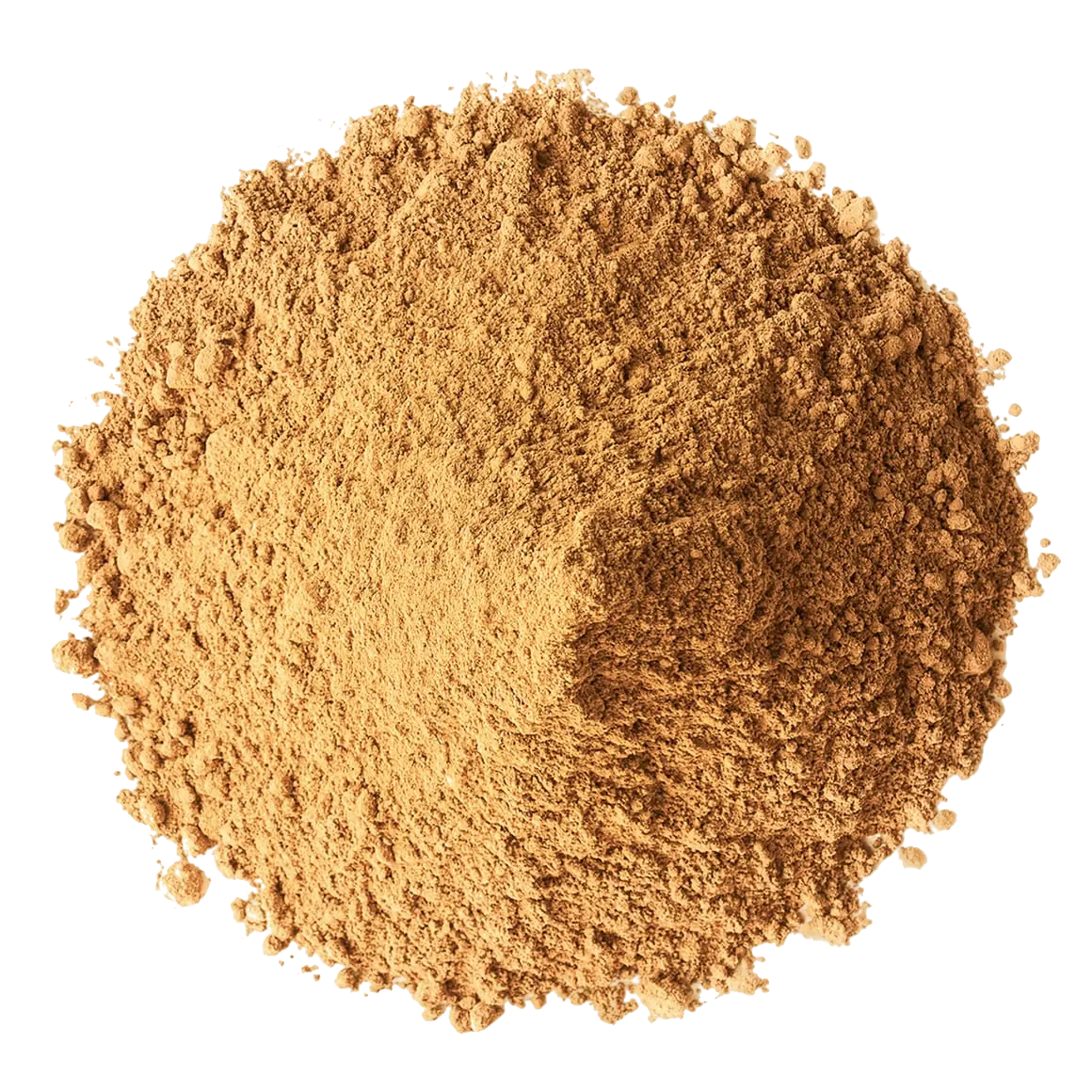 Bulk Cordyceps Powder - transparent background