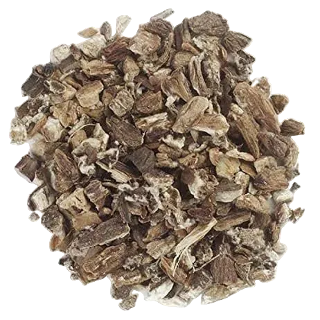 Bulk: Burdock Root - 0.5 oz