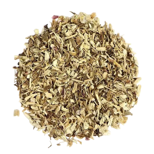 Bulk: Echinacea Root - 0.5 oz
