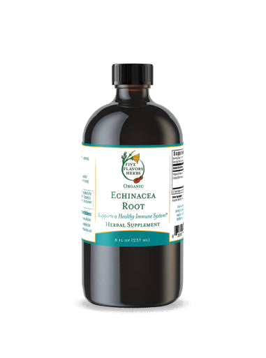 FFH Echinacea Root Tincture 8oz - transparent background