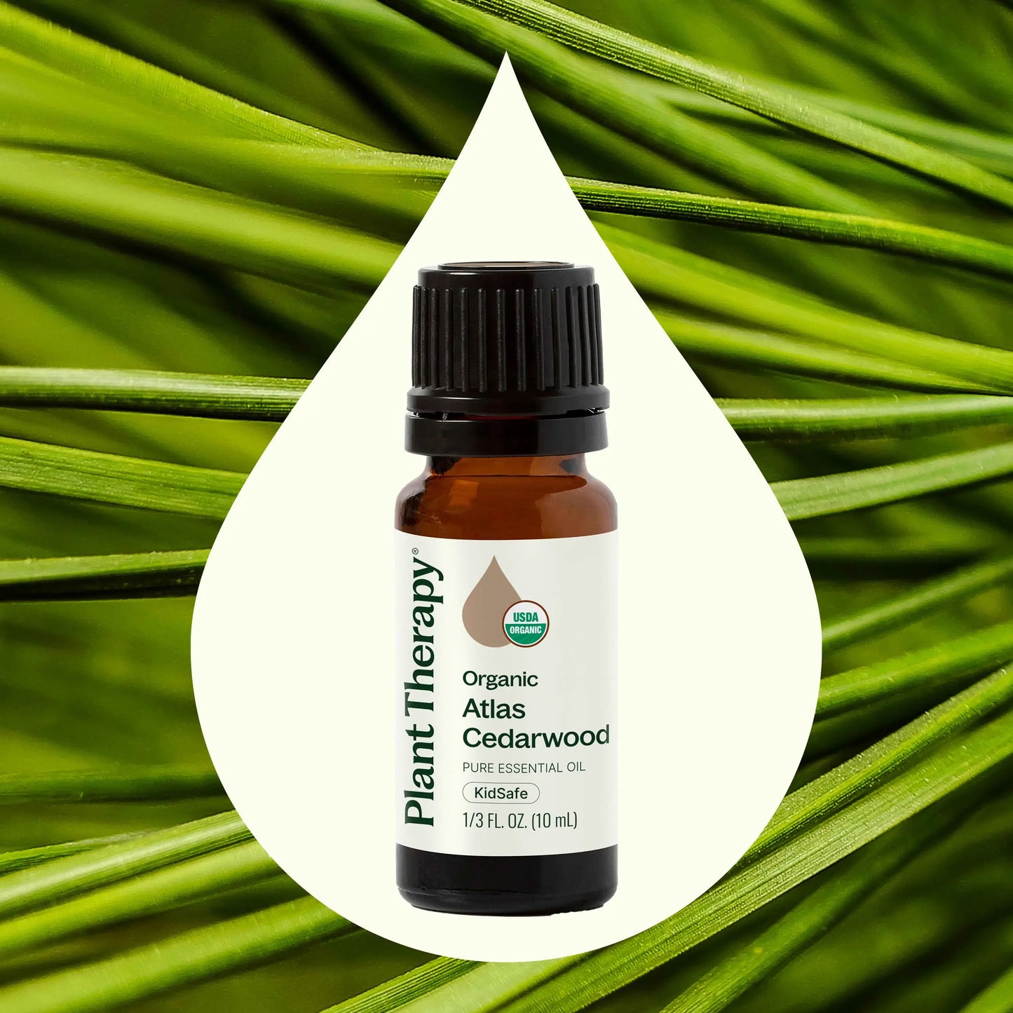 Plant Therapy: Organic Atlas Cedarwood Essential Oil 10 mL