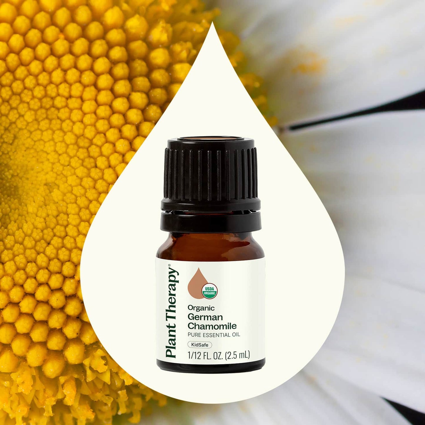 Plant Therapy: Organic German Chamomile Essential Oil 2.5 mL