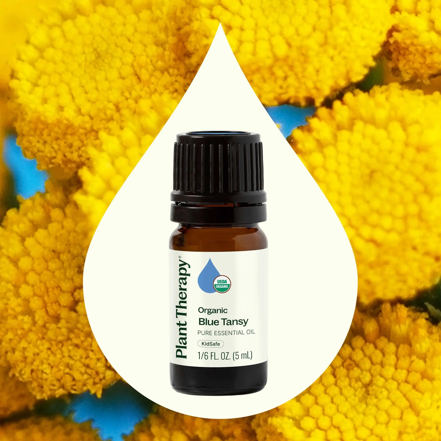 Plant Therapy: Organic Blue Tansy Essential Oil 5 mL
