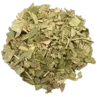 Bulk: Ginkgo - 1 oz