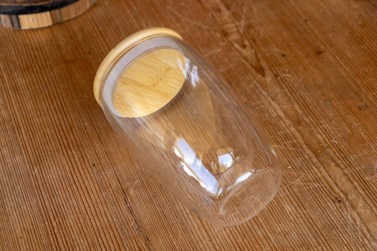 Double-Walled Glass Mug for Infusing Coffee and Tea - Bamboo Lid and Rubber Closing Seal – Online Only