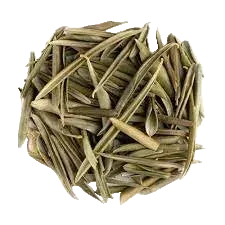 Bulk: Olive Leaf - 0.5 oz