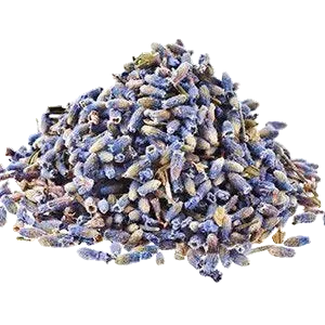 Bulk: Lavender Flower - 0.5 oz
