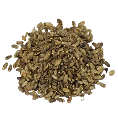 Bulk: Milk Thistle (Whole Seed) - 1 oz