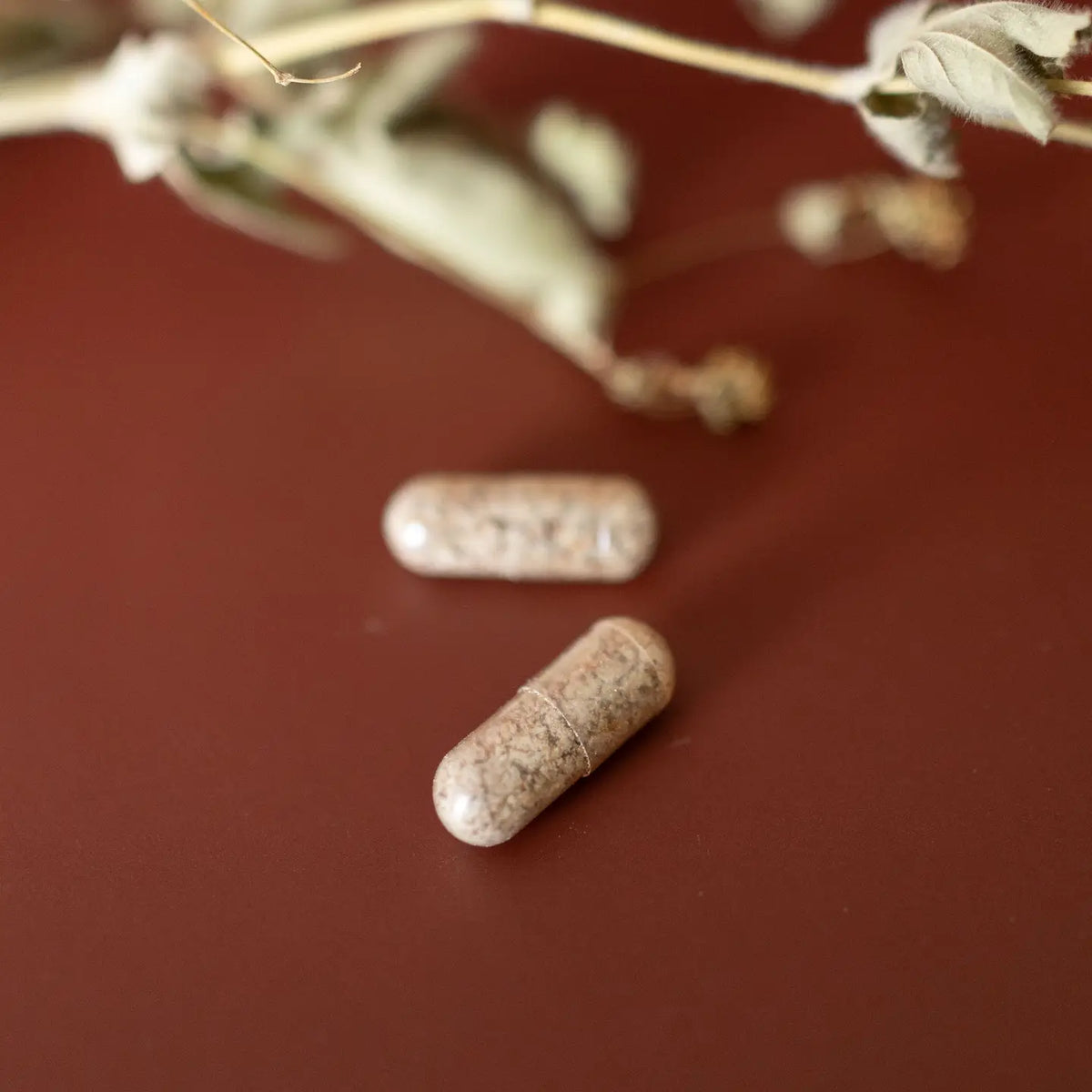 Milk Thistle Capsules – Online Only