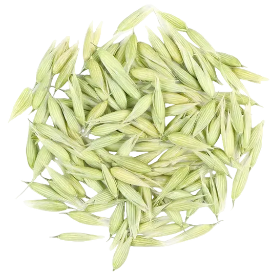 Bulk: Milky Oat Tops - 0.5 oz