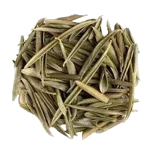 Bulk: Olive Leaf - 1 oz