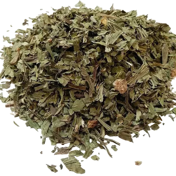 Bulk: Plantain Leaf - 1 oz