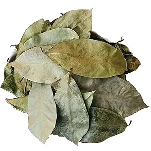 Bulk Soursop - transparent background