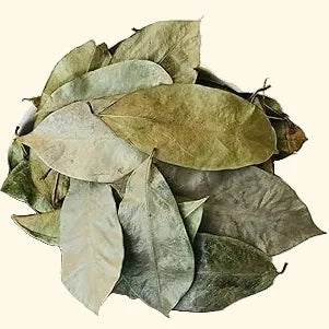 Bulk: Soursop - 1 oz