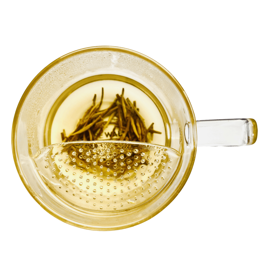 The WALL® Tea Infuser – Online Only