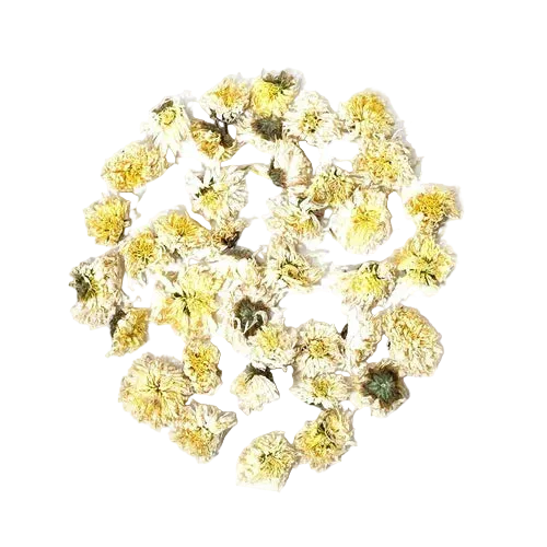 Bulk: Chrysanthemum - 1 oz